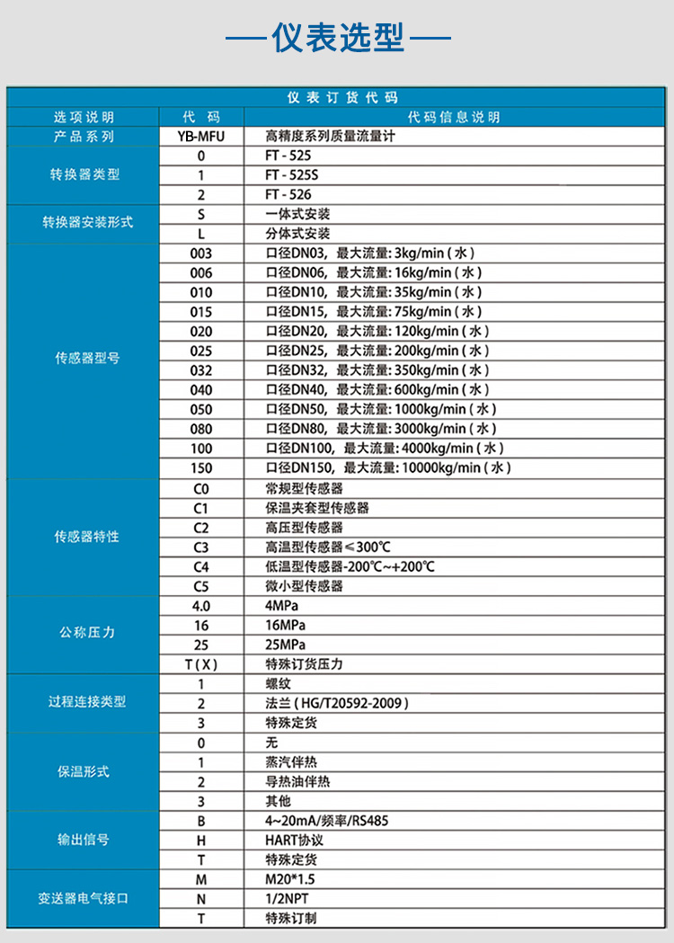 柴油質(zhì)量流量計(jì)選項(xiàng)表