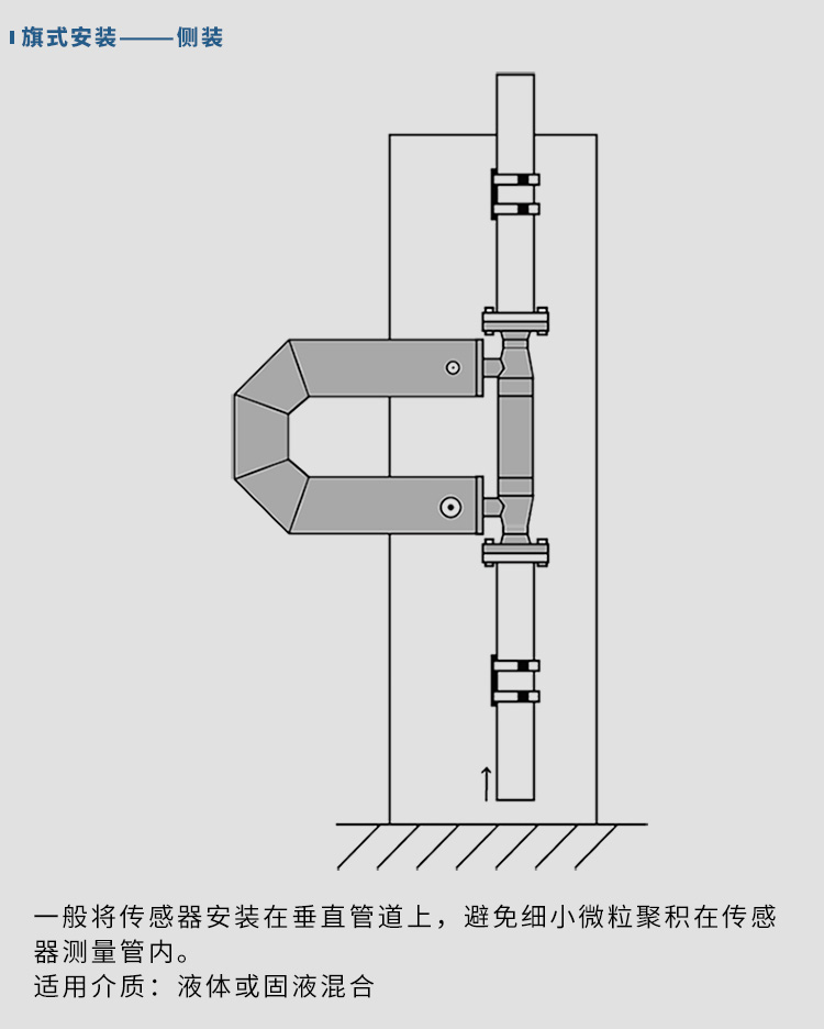 柴油質(zhì)量流量計(jì)垂直安裝示意圖